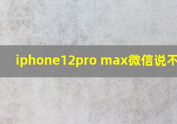 iphone12pro max微信说不了话